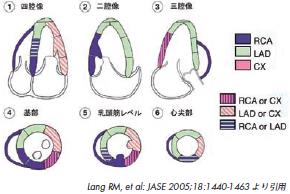 実践に活きる 臨床心エコー図法 (新品) - 本